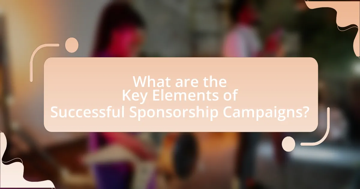 What are the Key Elements of Successful Sponsorship Campaigns?